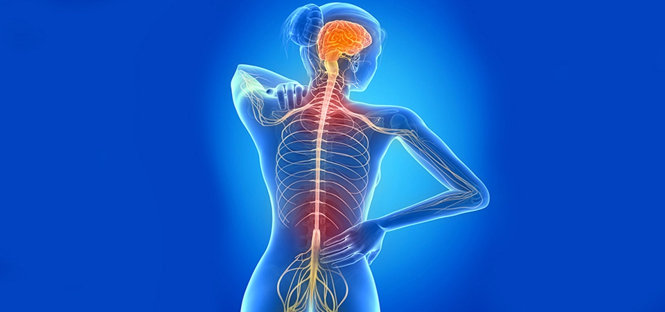 Why Neural Therapy? Although developments in modern medicine have been dizzying, unfortunately it has been forgotten that a human being is a whole.