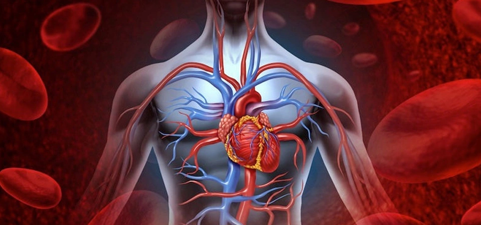 Circulatory Disorder: Causes, Symptoms, Treatment Circulatory disorders often go unnoticed by the patient for a long time. Medical help should be sought as soon as the first signs related to circulation appear. Because early treatment can allow for a full recovery.