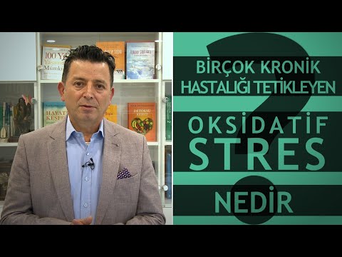 What Is Oxidative Stress?