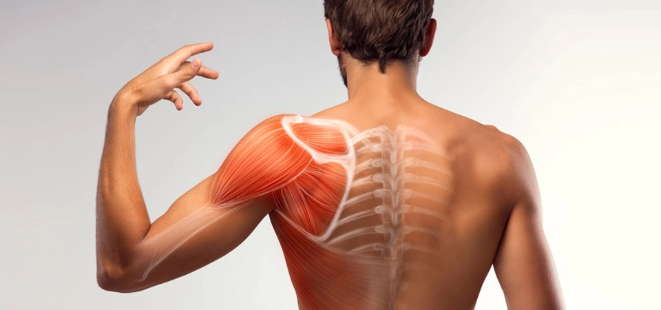 What Should Be Done for Shoulder Pain? Neural Therapy for Shoulder-Related Movement Restriction, Pain, and Disorders
