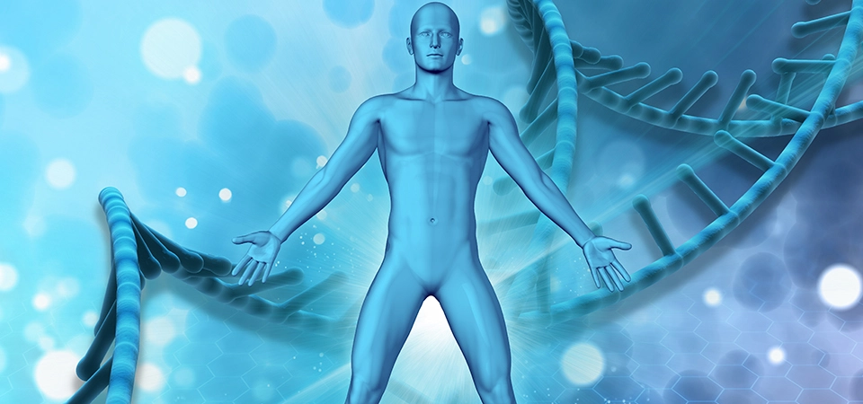 The healthy body in five dimensions - Let's evaluate the body through its five dimensions!